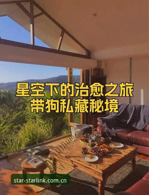 一个老球迷的私藏心得：在星空平台入口追踪索斯盖特纪录片动向的那些事
